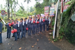 IMG20180531091229_800x600