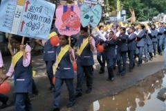 img1 (5)