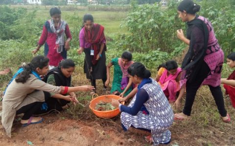 GANDHI JAYANTHI (2ND OCTOBER, 2018) & SWACHATA HI SEVA ALONG WITH NSS DAY (24TH SEPTEMBER, 2018)